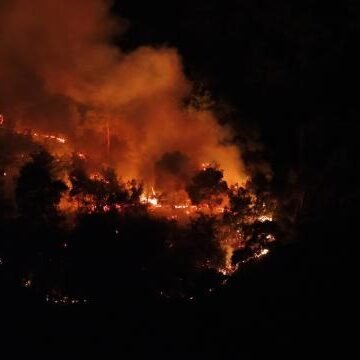 Adana Karaisalı'daki orman yangınına müdahale eden ekiplerin arazi çalışması. Karaisalı ormanlık alanında yürütülen yangın söndürme çalışması