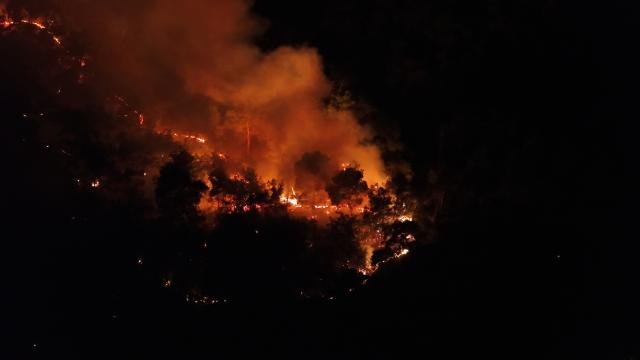 Adana Karaisalı'daki orman yangınına müdahale eden ekiplerin arazi çalışması. Karaisalı ormanlık alanında yürütülen yangın söndürme çalışması
